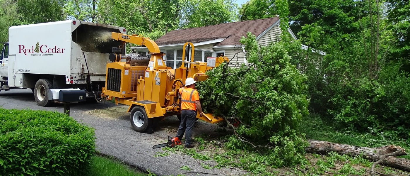 Tree Service South Jersey Areas