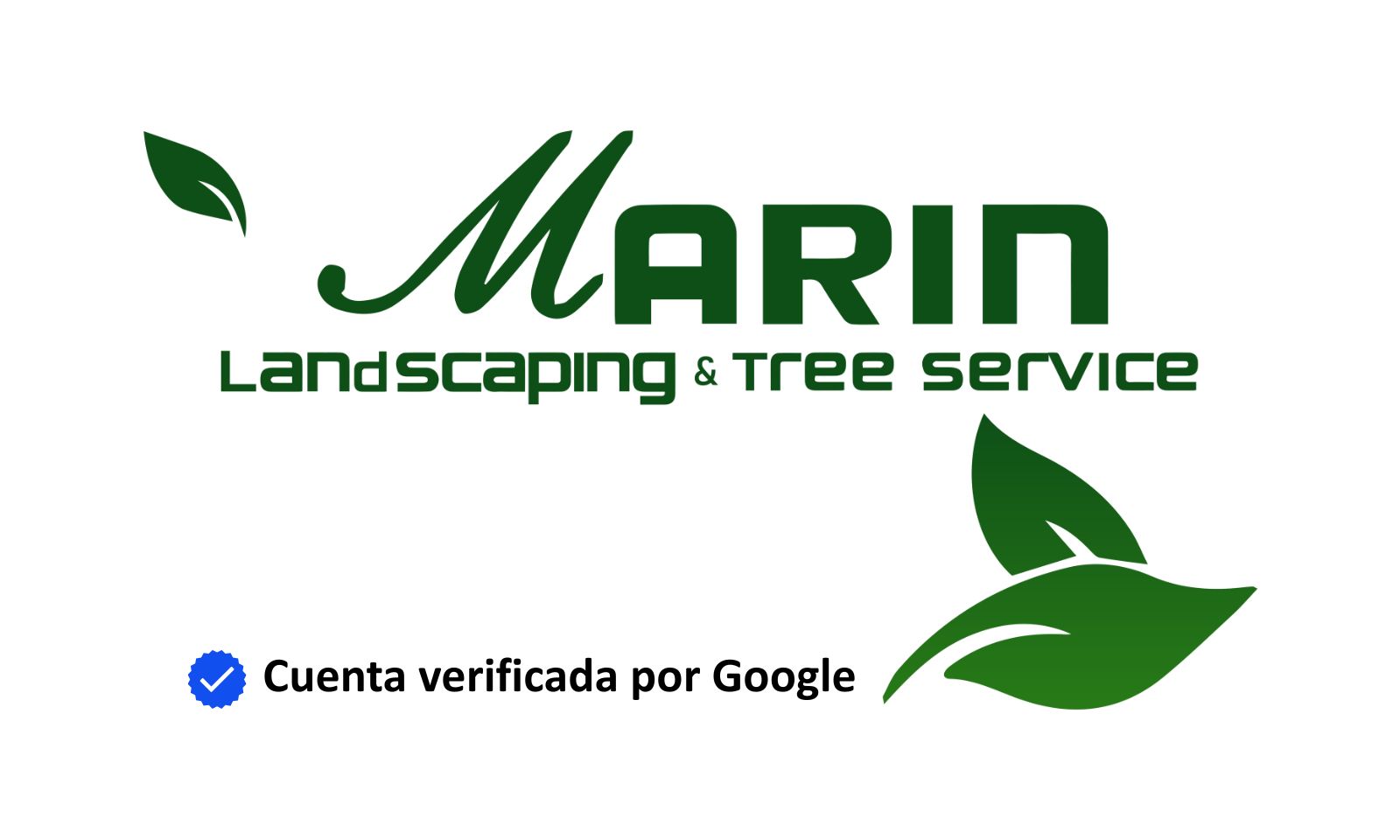 Google Business profile visual with a more professional appearance