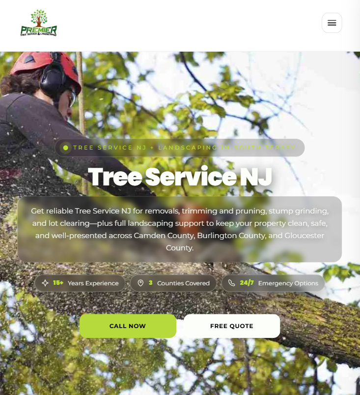 Website project thumbnail four